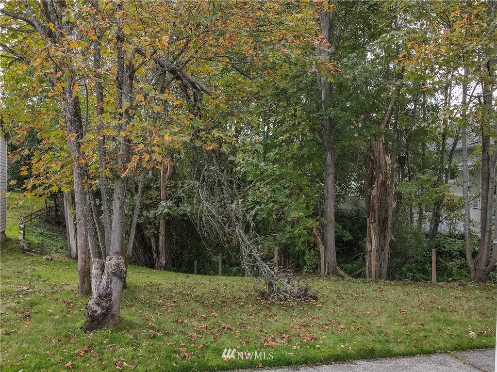 5114 North 49th Street Ruston, WA 98407 - Photo 8 of 8 Gallery Image 8