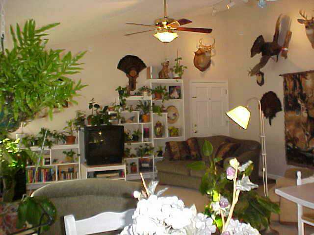 151 Dean Road Westminster, SC 29693 - Photo 6 of 9 Gallery Image 6