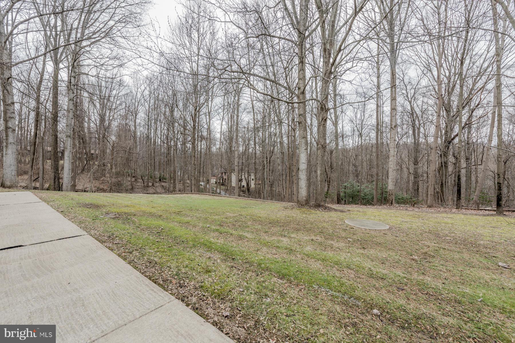 4139 Holbrook Road Randallstown, MD 21133 - Photo 26 of 28 Yard