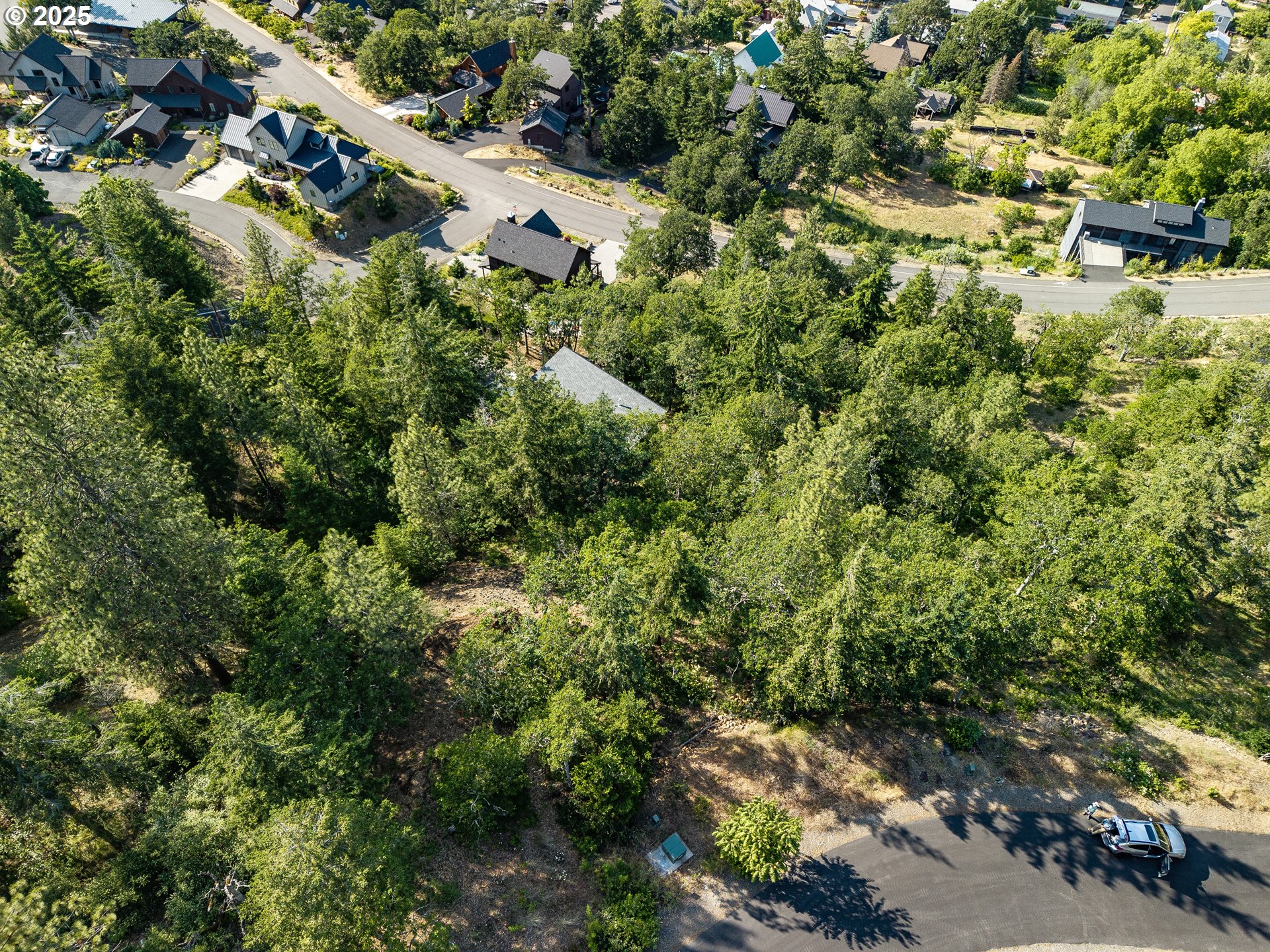 Coyote Court, Unit 44 Mosier, OR 97040 - Photo 5 of 10 an aerial view of residential houses with outdoor space and trees