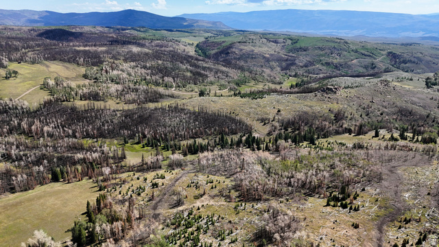 123 Tbd Monroe Canyon Road Monroe, UT 84754 - Photo 4 of 92 Expansive mountain landscape featuring varied terrain and natural vegetation, including evergreen and deciduous trees