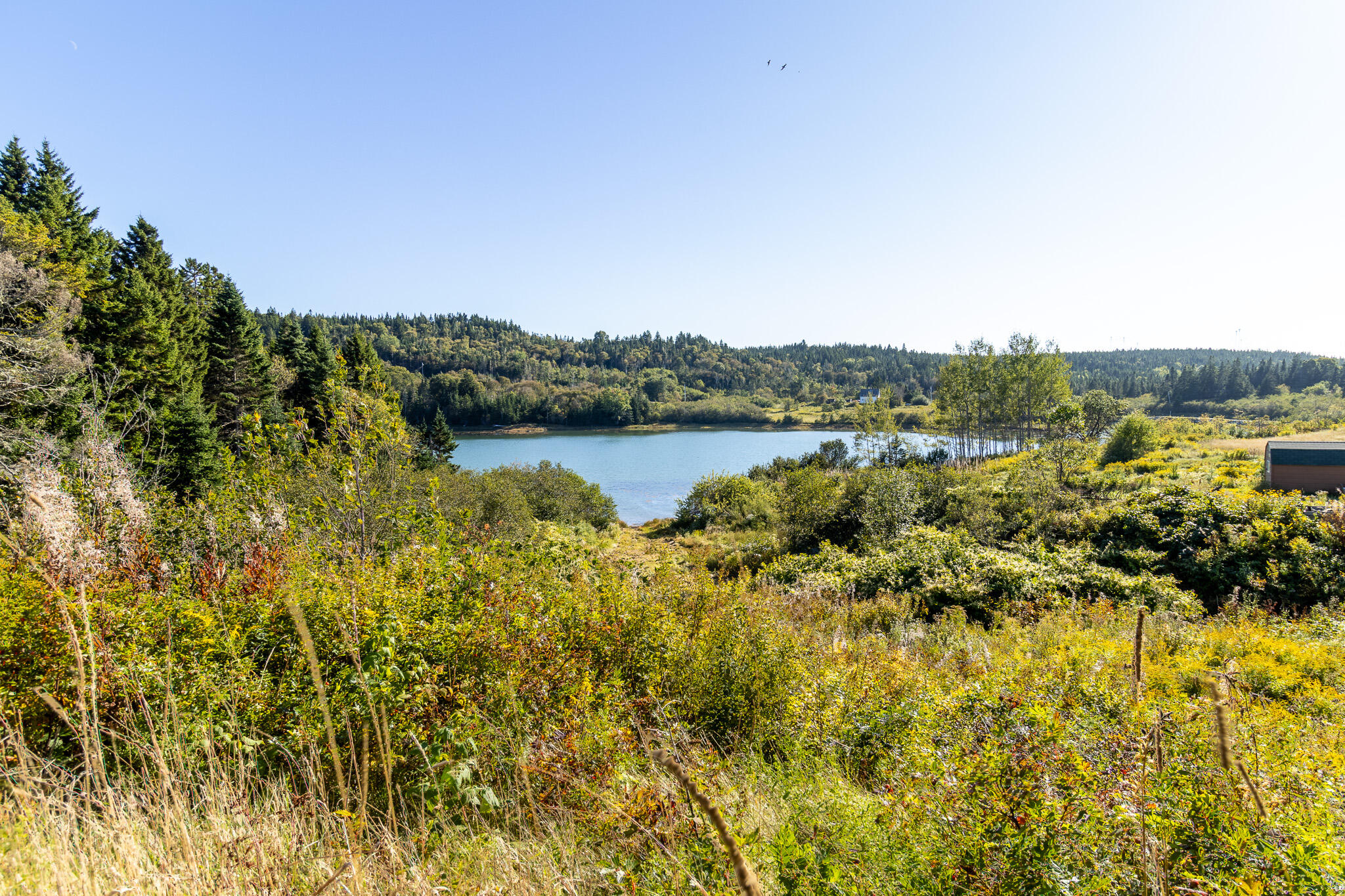 2487 Cutler Road Cutler, ME 04626 - Photo 17 of 46 17