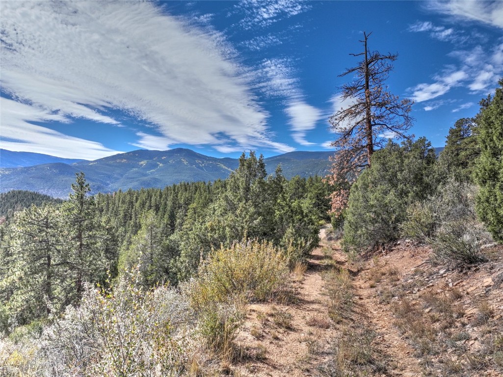 1913 South Ridge Road Bailey, CO 80421 - Photo 1 of 40 View of mountain feature