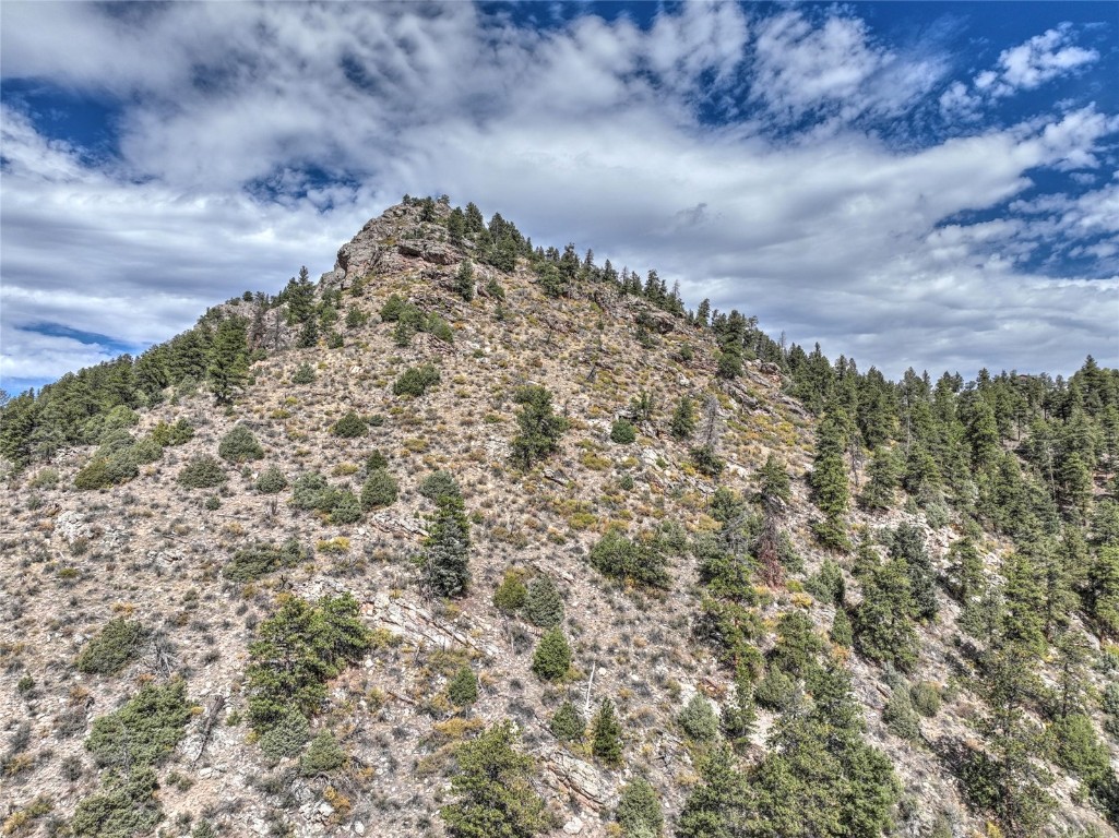 1913 South Ridge Road Bailey, CO 80421 - Photo 14 of 40 Mountain view