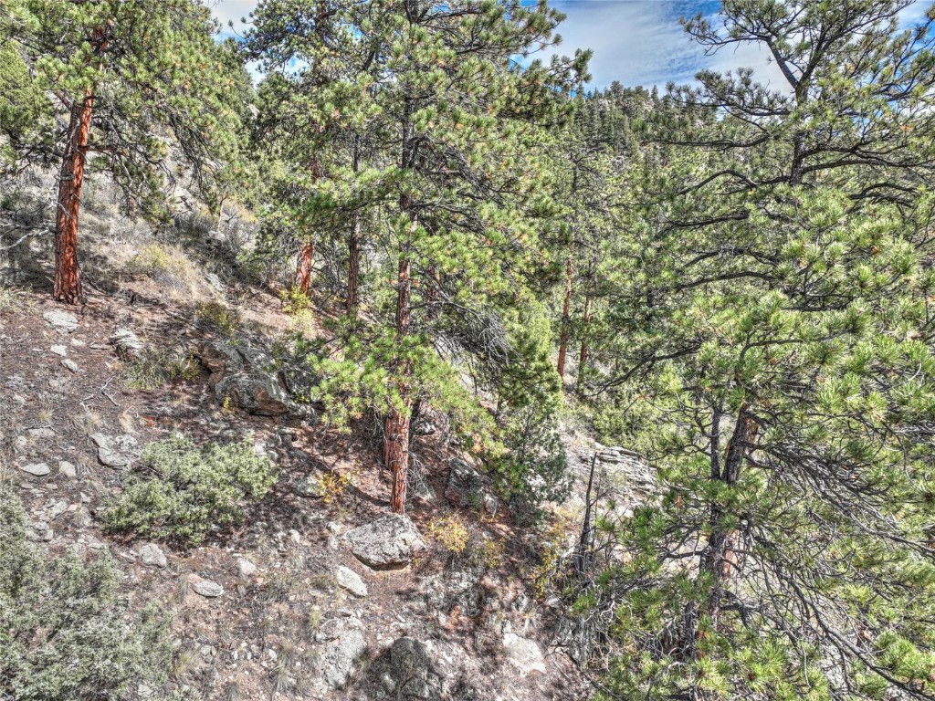 1913 South Ridge Road Bailey, CO 80421 - Photo 16 of 40 View of landscape
