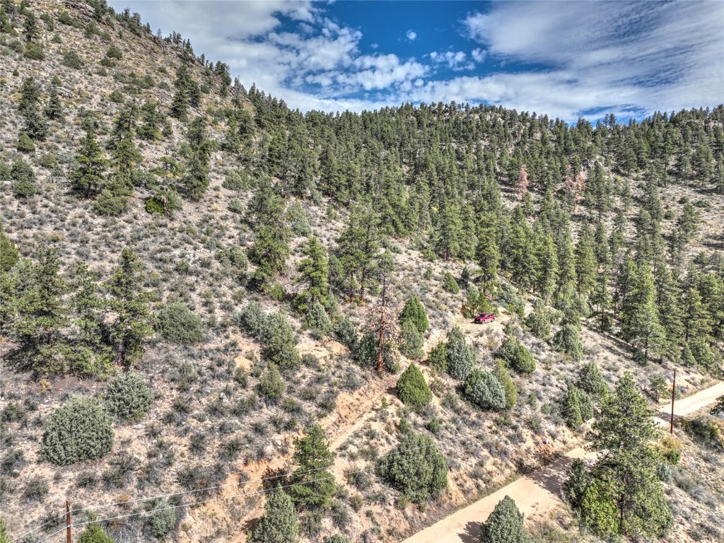 1913 South Ridge Road Bailey, CO 80421 - Photo 20 of 40 Drone / aerial view