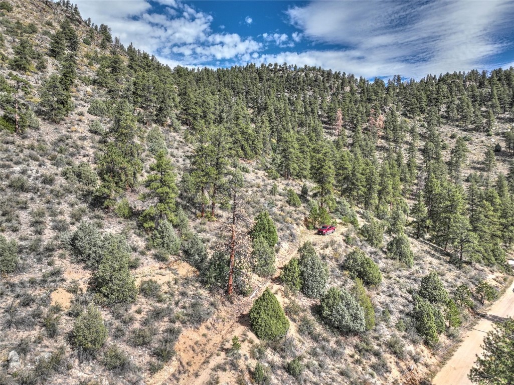 1913 South Ridge Road Bailey, CO 80421 - Photo 21 of 40 Drone / aerial view