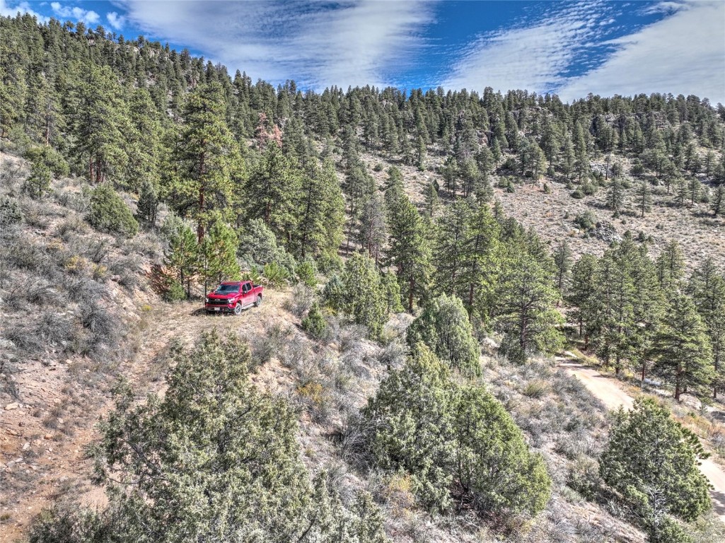 1913 South Ridge Road Bailey, CO 80421 - Photo 23 of 40 Aerial view