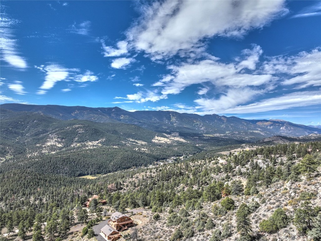 1913 South Ridge Road Bailey, CO 80421 - Photo 27 of 40 Mountain view
