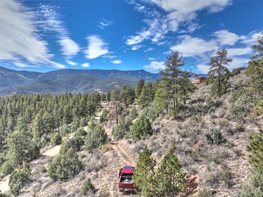 1913 South Ridge Road Bailey, CO 80421 - Photo 28 of 40 Property view of mountains