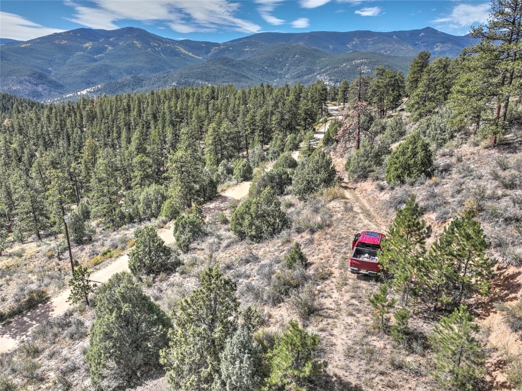 1913 South Ridge Road Bailey, CO 80421 - Photo 32 of 40 Aerial view with a mountain view