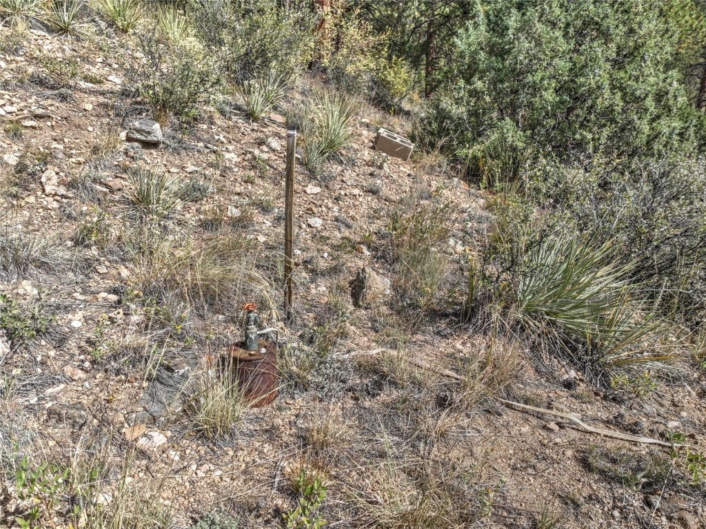 1913 South Ridge Road Bailey, CO 80421 - Photo 34 of 40 View of landscape