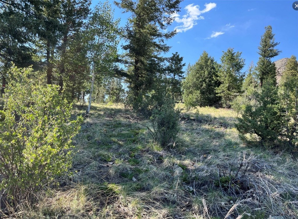 1913 South Ridge Road Bailey, CO 80421 - Photo 35 of 40 View of landscape