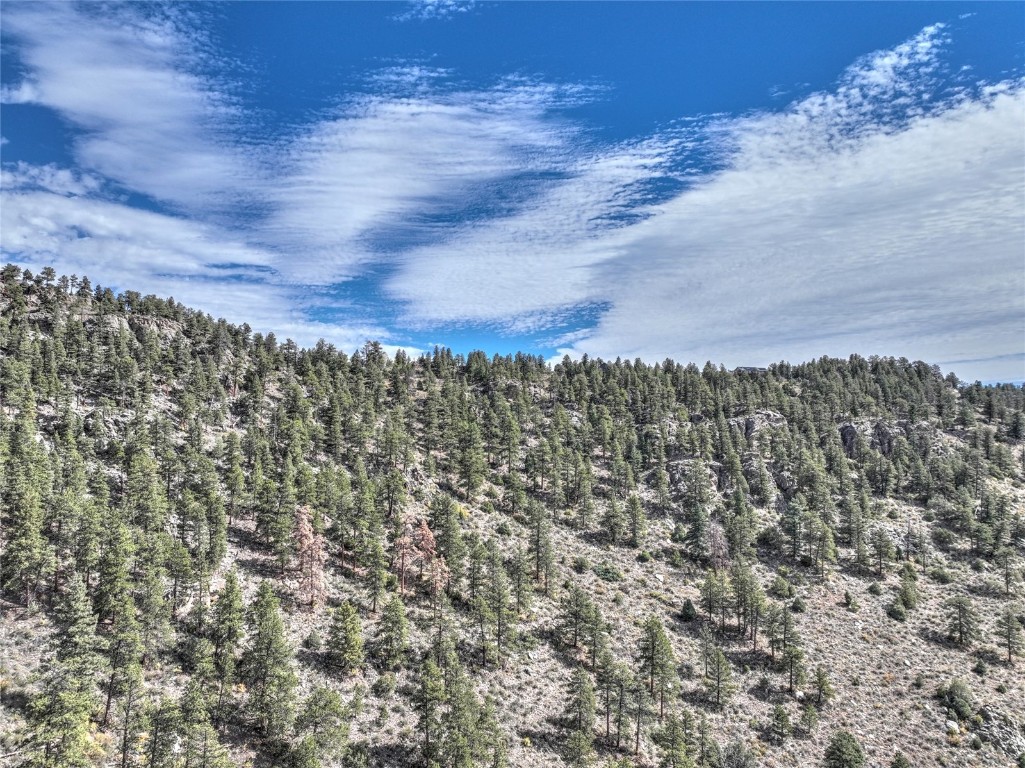 1913 South Ridge Road Bailey, CO 80421 - Photo 5 of 40 Mountain view