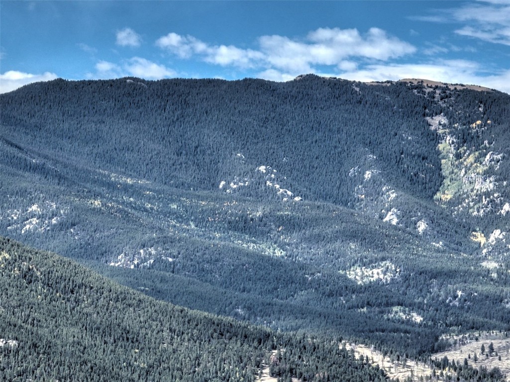 1913 South Ridge Road Bailey, CO 80421 - Photo 6 of 40 View of mountain feature