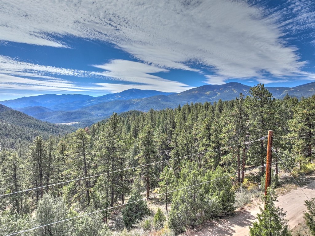 1913 South Ridge Road Bailey, CO 80421 - Photo 10 of 40 Property view of mountains