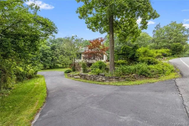 a view of a garden with a tree in the background
