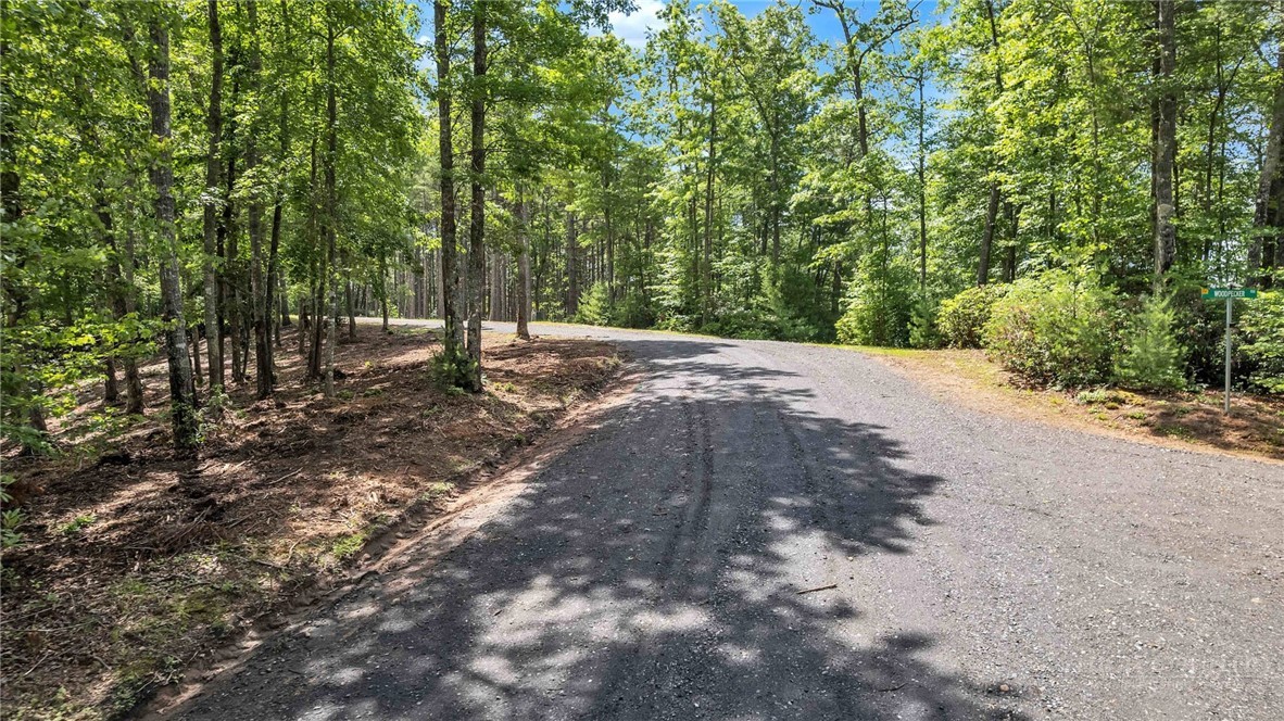 Lot 42 Smoke Rise Path West Jefferson, NC 28694 - Photo 5 of 9