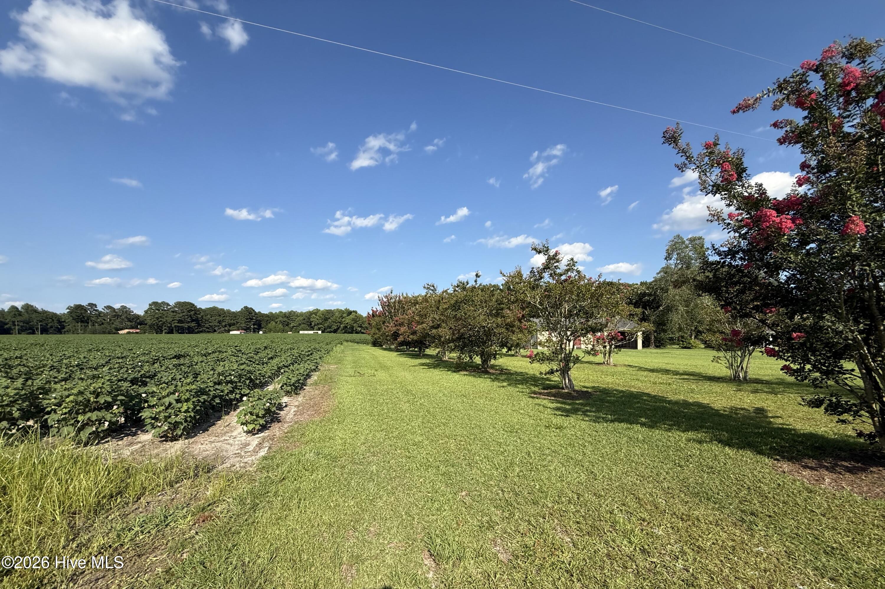 3085 Fire Dept Road Williamston, NC 27892 - Photo 6 of 26