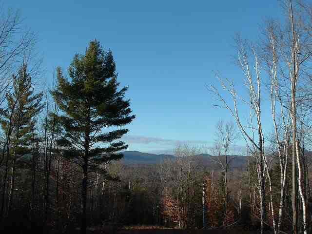 Daveed Road Schroon Lake, NY 12870 - Photo 1 of 3 Photo 1