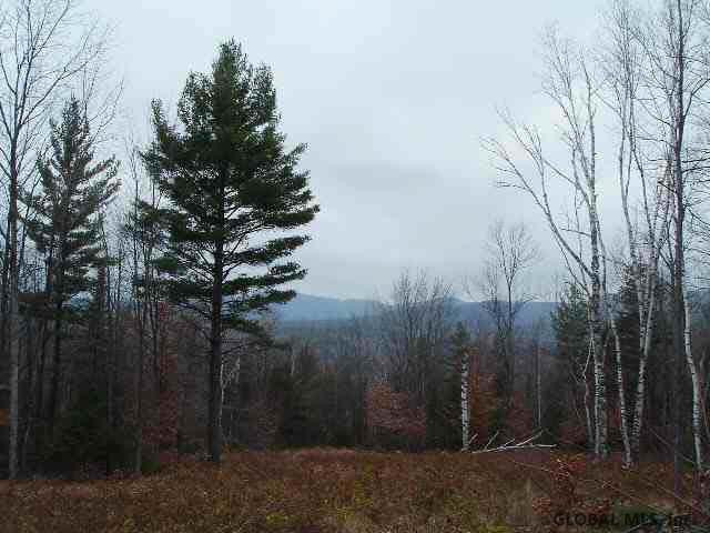 Daveed Road Schroon Lake, NY 12870 - Photo 2 of 3 Photo 2