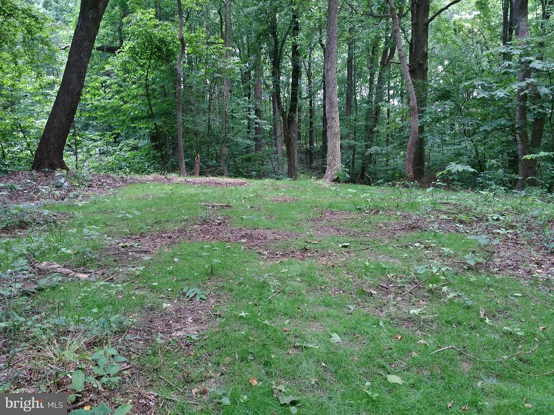 1795 Wilson Road Huntingtown, MD 20639 - Photo 1 of 10 From House Site Area