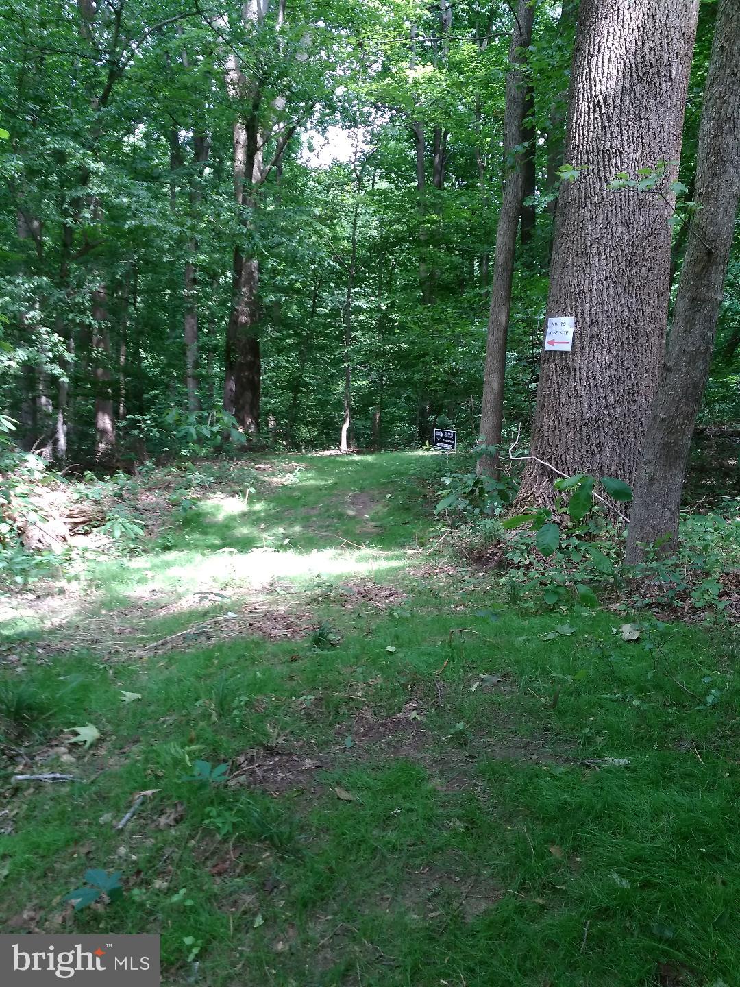 1795 Wilson Road Huntingtown, MD 20639 - Photo 3 of 10 Pathway