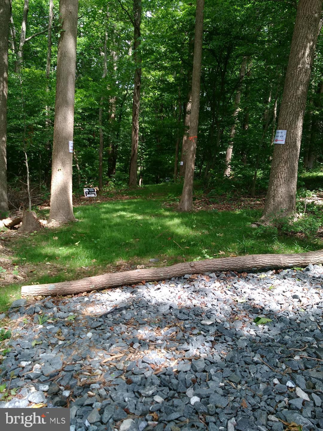 1795 Wilson Road Huntingtown, MD 20639 - Photo 4 of 10 Driveway Pathway