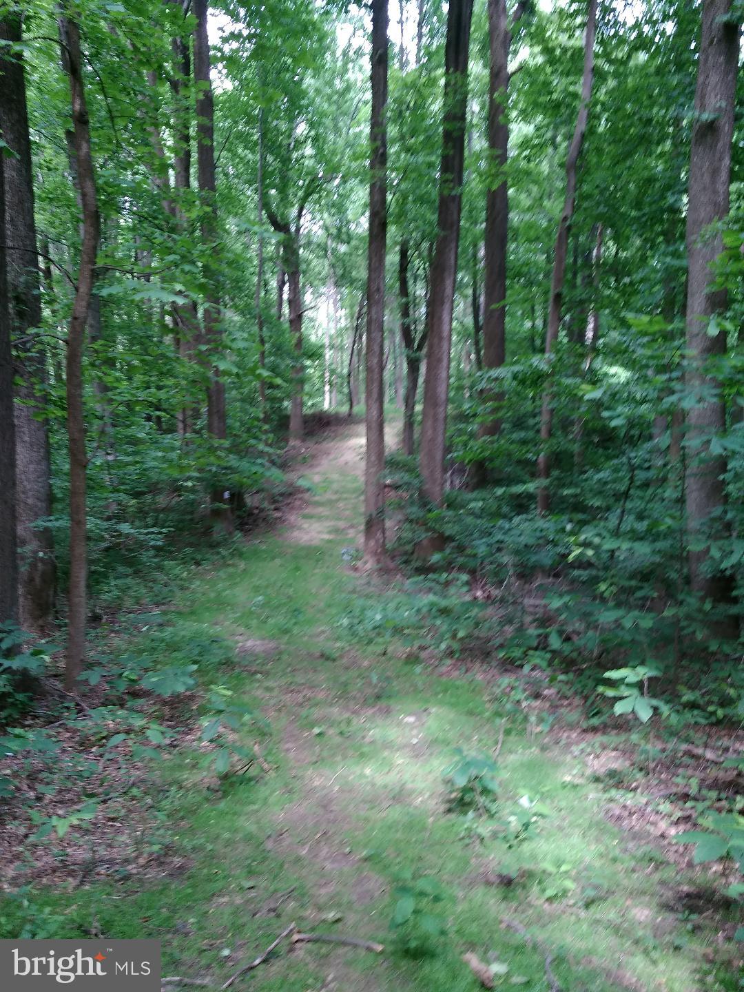 1795 Wilson Road Huntingtown, MD 20639 - Photo 5 of 10 Pathway