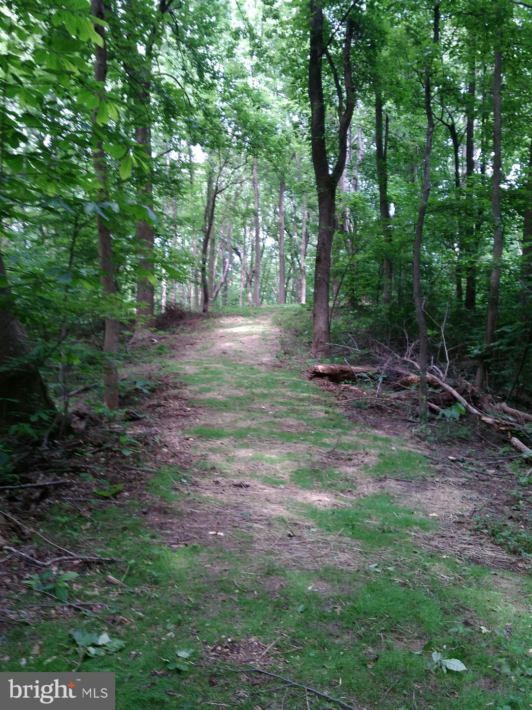 1795 Wilson Road Huntingtown, MD 20639 - Photo 6 of 10 Pathway to House Site