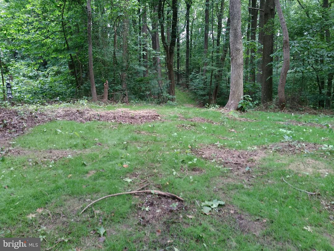 1795 Wilson Road Huntingtown, MD 20639 - Photo 8 of 10 From House Site Area