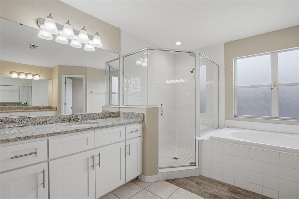 27001 Arrowbrook Way Wesley Chapel, FL 33544 - Photo 38 of 44 a bathroom with a granite countertop sink a large mirror and a shower