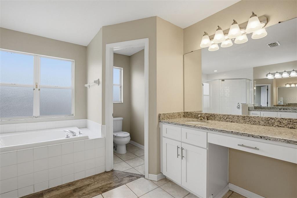 27001 Arrowbrook Way Wesley Chapel, FL 33544 - Photo 39 of 44 a bathroom with a granite countertop sink a toilet and bathtub