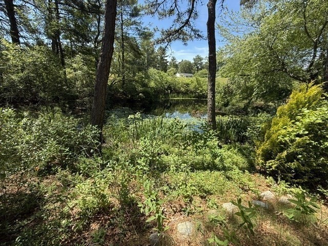241 Glen Charlie Road Wareham, MA 02538 - Photo 32 of 32