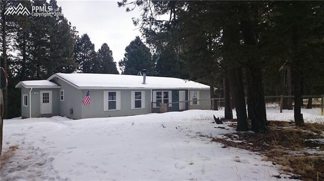 346 Kutsu Ridge Road Florissant, CO 80816 - Photo 27 of 28