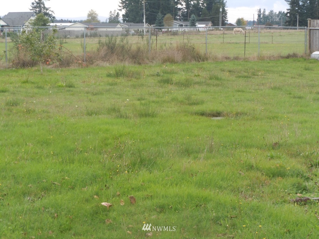 4111 Violet Court Southwest Rochester, WA 98579 - Photo 2 of 12