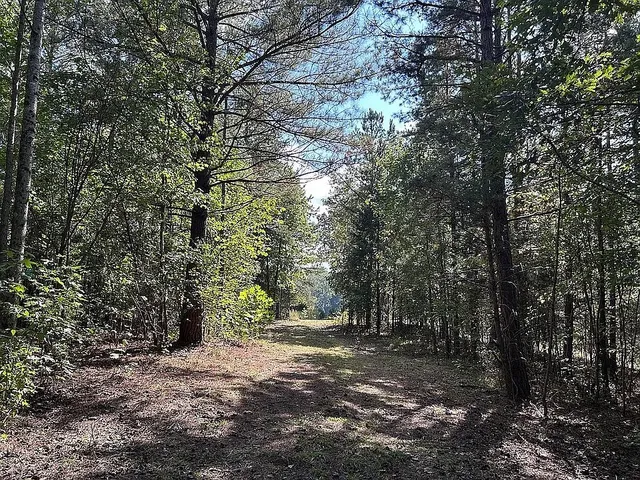 $169,900 | 9100 Urubamba Drive, Lyles, TN 37098