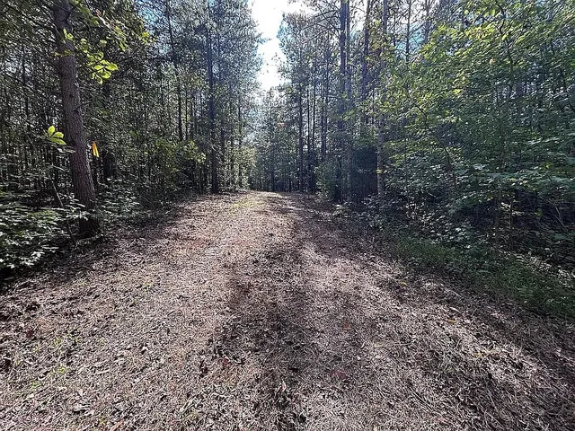 $169,900 | 9100 Urubamba Drive, Lyles, TN 37098