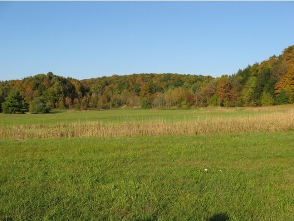 0 Monkton Road Vergennes, VT 05491 - Photo 9 of 20 Gallery Image 9