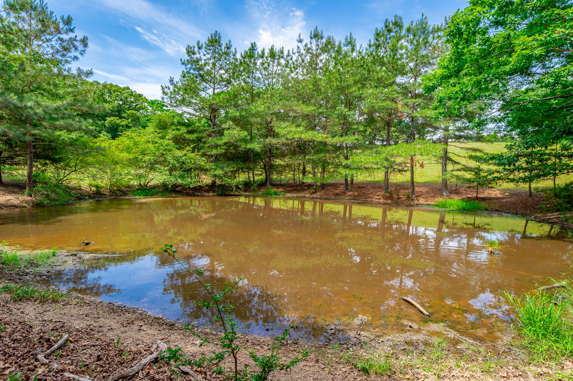 7015 B K Ranch Road Georgetown, TN 37336 - Photo 7 of 144 7015 B K RAnch Road HD-115