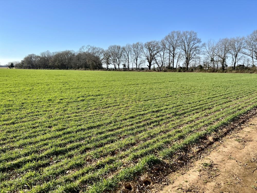 0 Byrd Road Atmore, AL 36502 - Photo 27 of 27