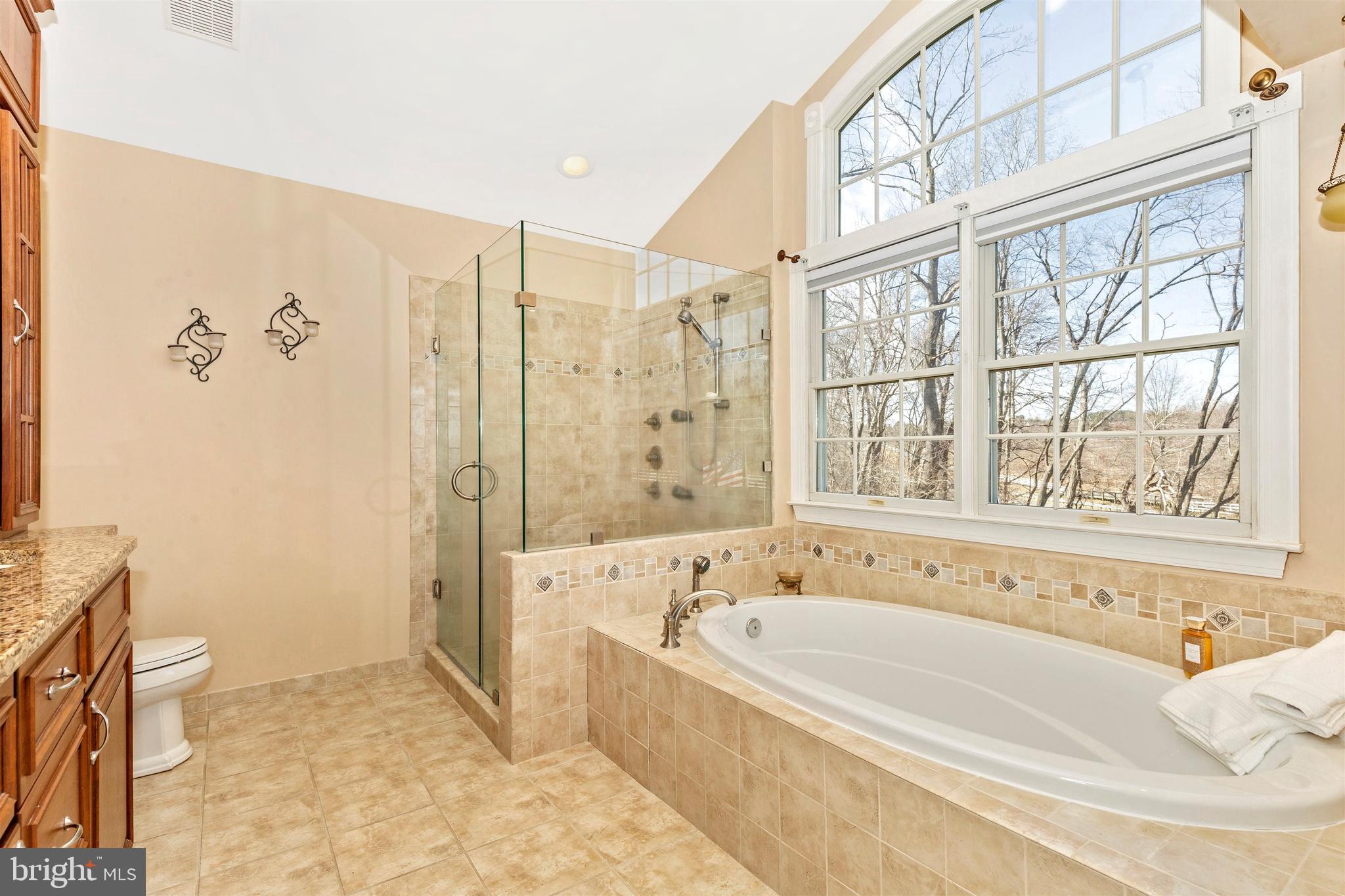 6180 Wimbeldon Drive Mount Airy, MD 21771 - Photo 43 of 63 Oversize custom Shower and Soaking Tub