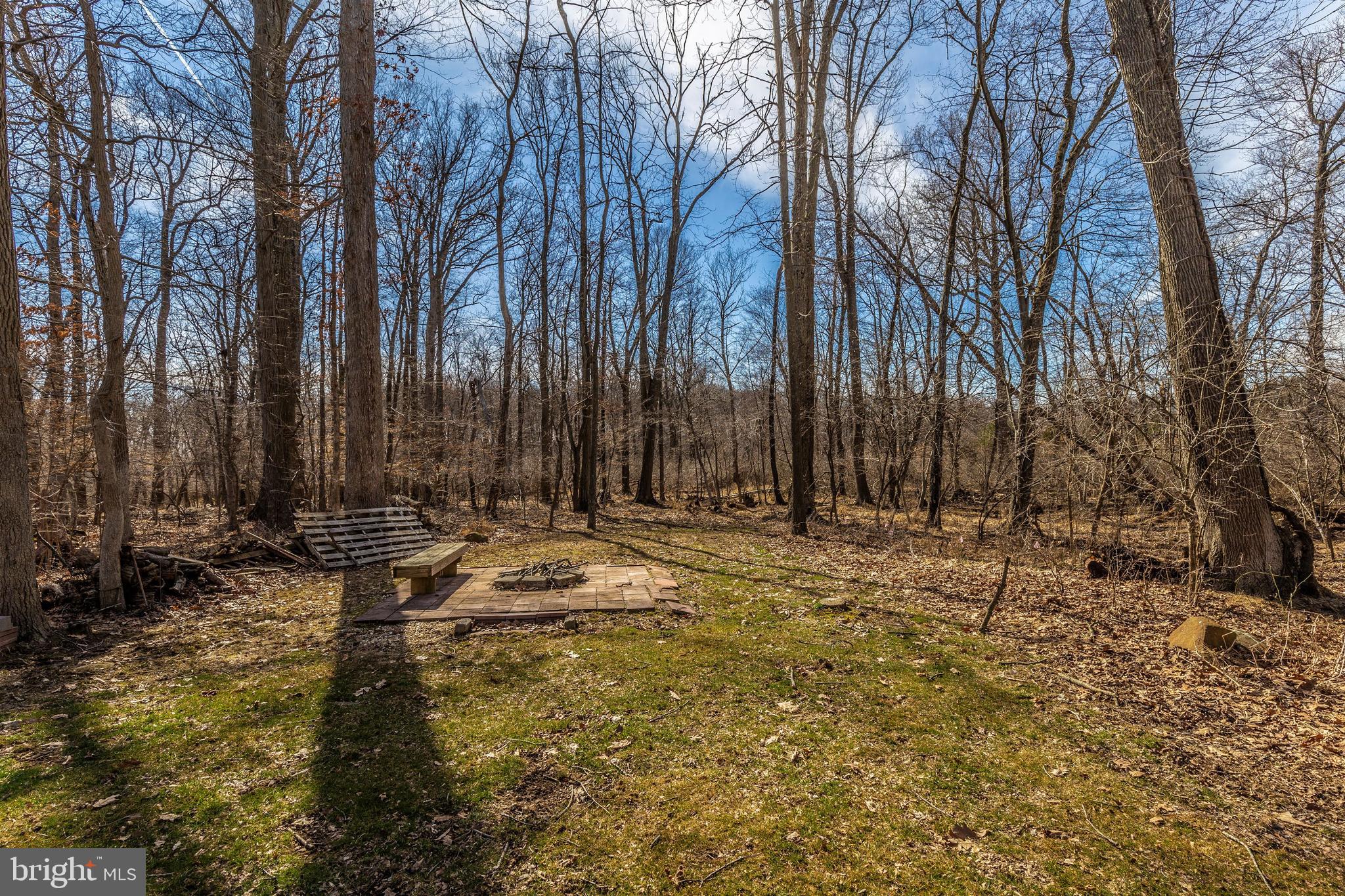 6180 Wimbeldon Drive Mount Airy, MD 21771 - Photo 62 of 63 Make s'mores and memories around the firepit!