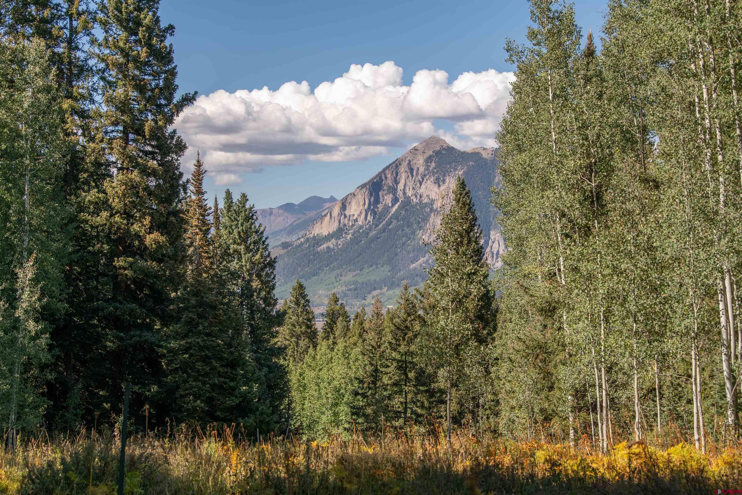 1251 Red Mountain Ranch Road Crested Butte, CO 81224 - Photo 1 of 29 Gallery Image 1