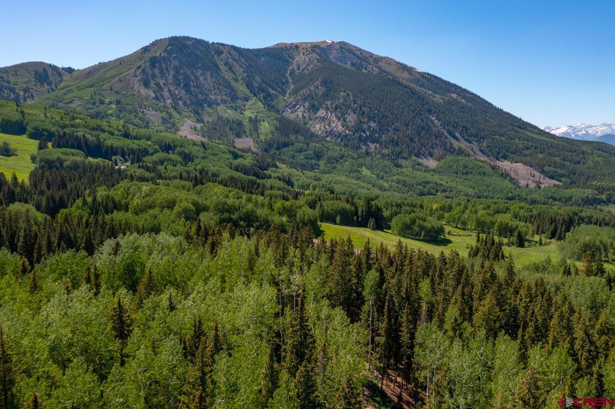 1251 Red Mountain Ranch Road Crested Butte, CO 81224 - Photo 27 of 29 Gallery Image 27