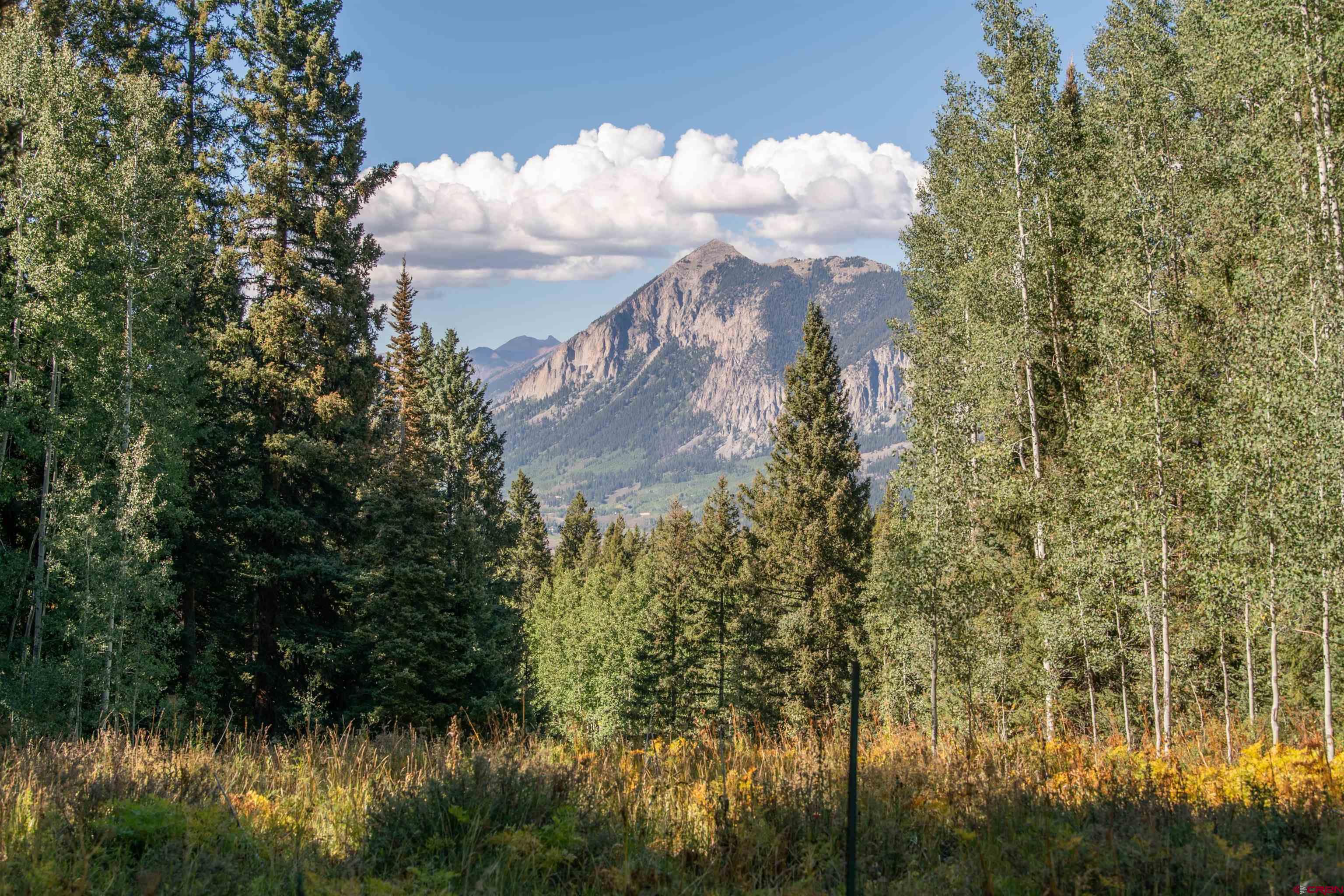 1251 Red Mountain Ranch Road Crested Butte, CO 81224 - Photo 3 of 29 Gallery Image 3