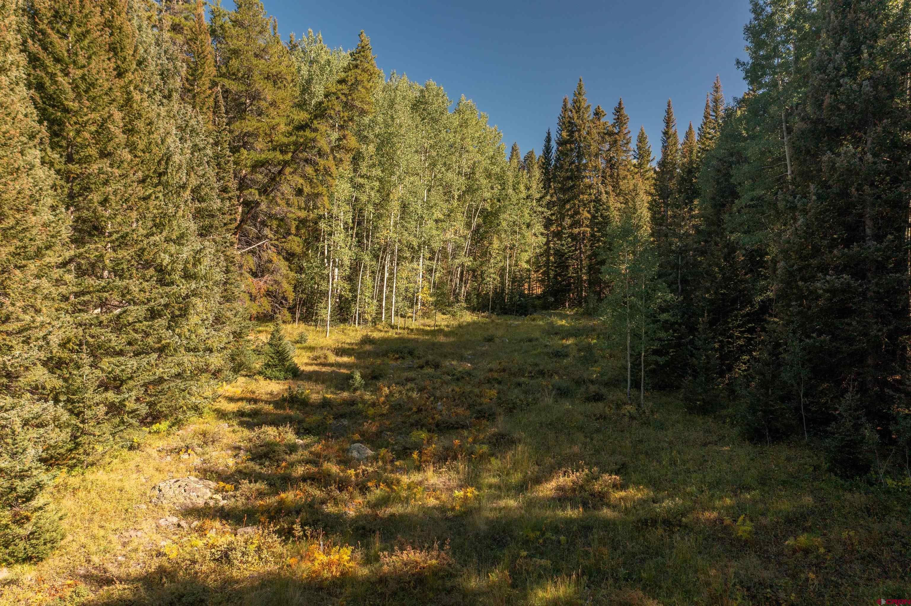 1251 Red Mountain Ranch Road Crested Butte, CO 81224 - Photo 4 of 29 Gallery Image 4