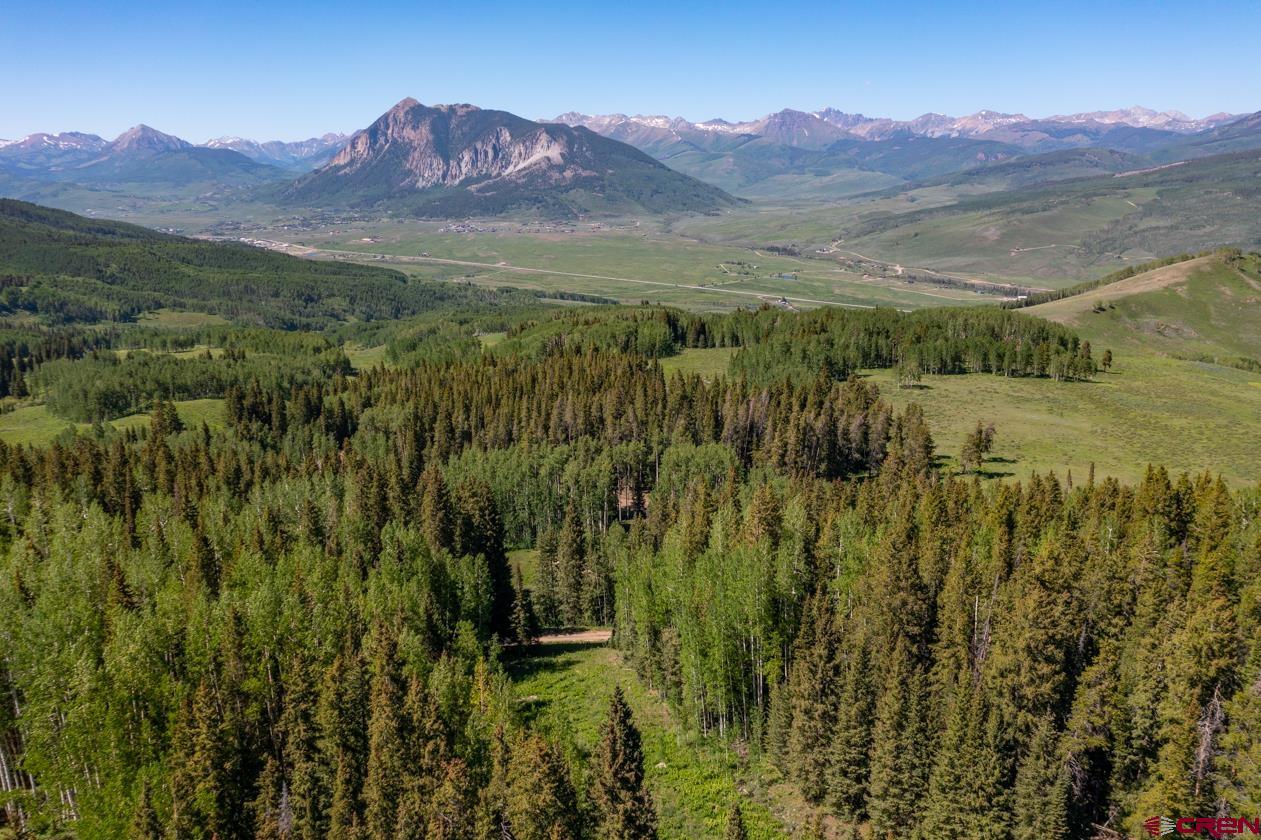 1251 Red Mountain Ranch Road Crested Butte, CO 81224 - Photo 8 of 29 Gallery Image 8