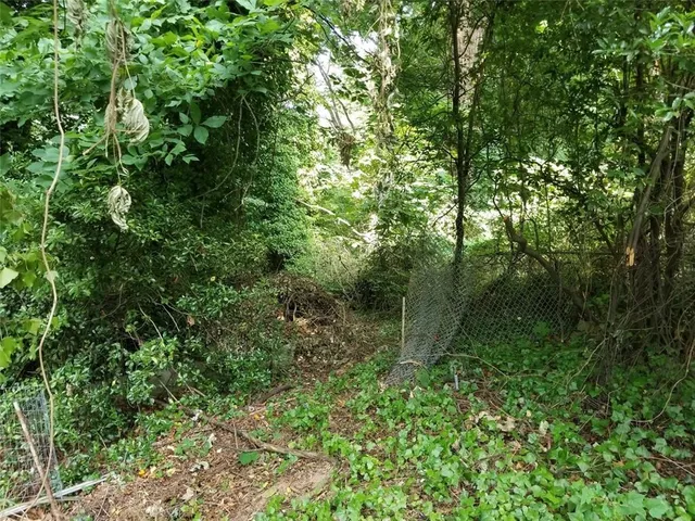 a view of outdoor space and garden