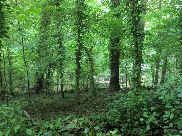 a house view with swimming pool and trees in the background